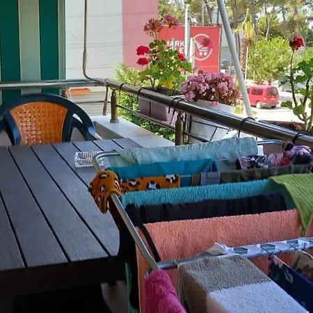 Cozy In * Golem (Tirana)